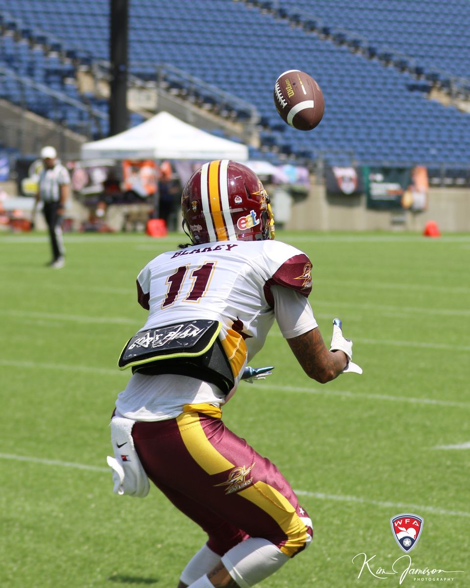 D1 game (78)