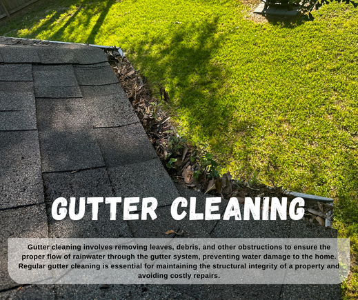 Gutter cleaning