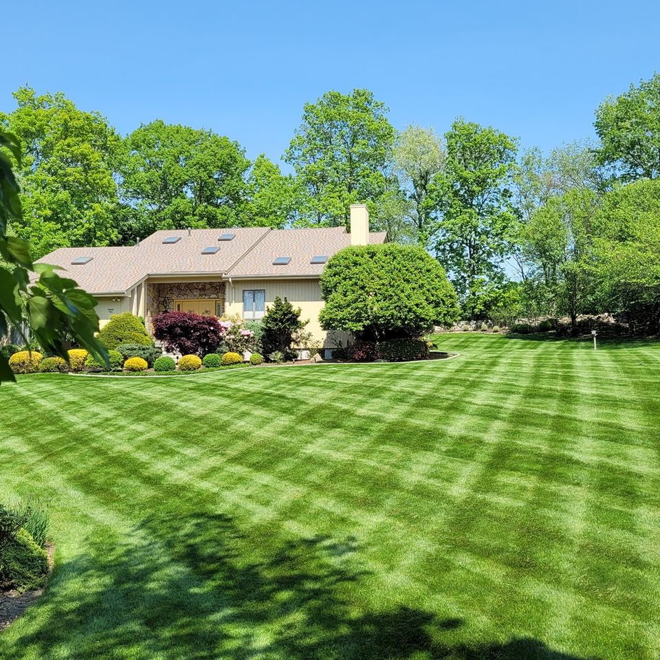 Diaz work lawn 1