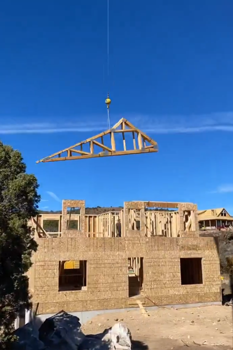 Truss hoist