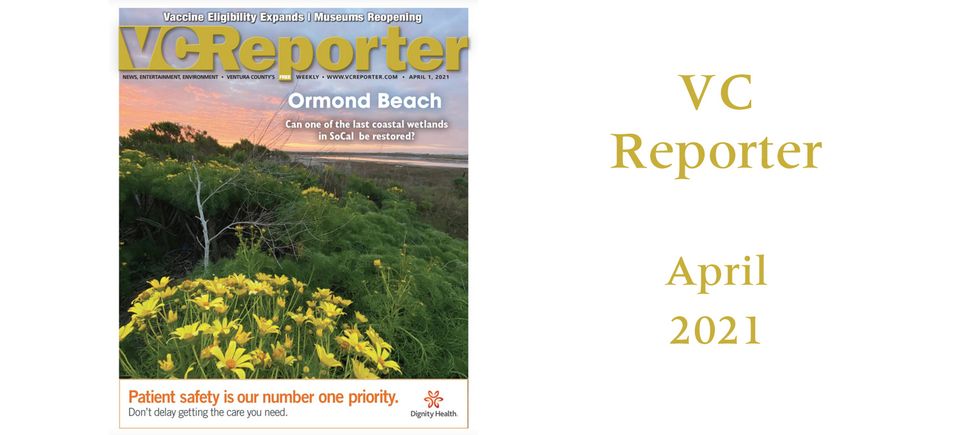 Vc reporter april 2021