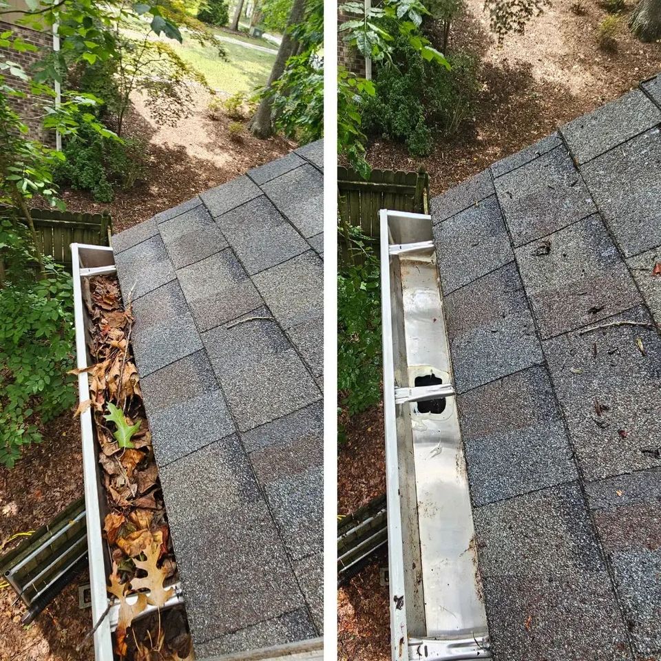 Pelican gutters cleaning