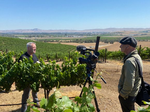 Livermore valley wine 3
