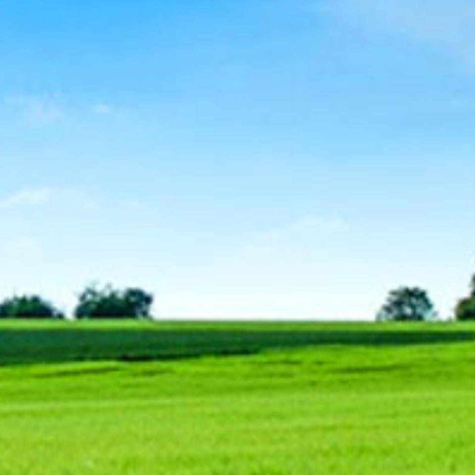 Screenshot 2025 10 29 at 1.17.49 pm