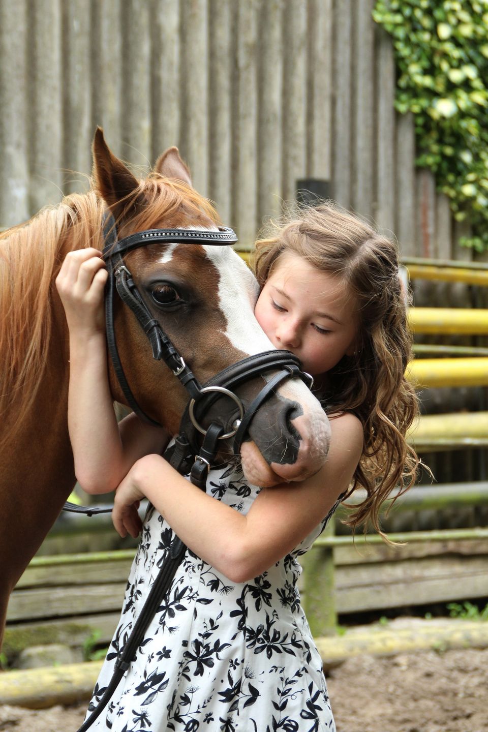 Pony Party