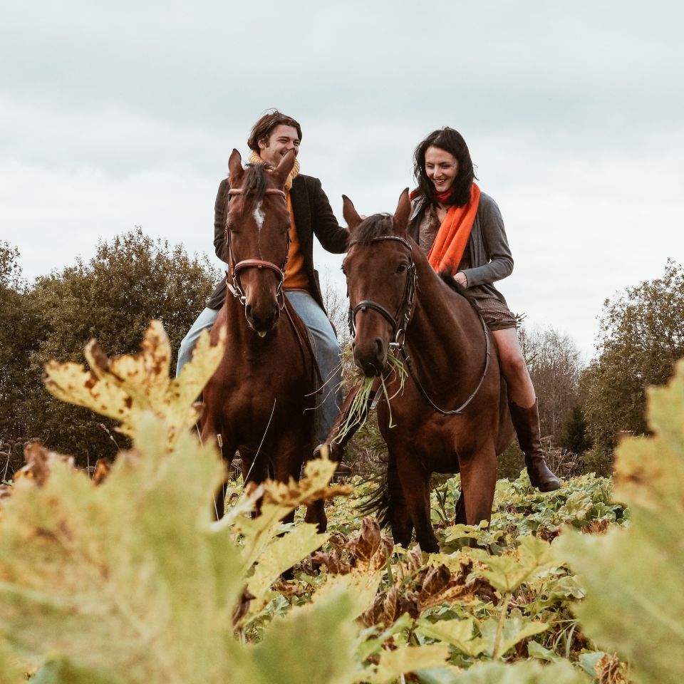 couples horse riding