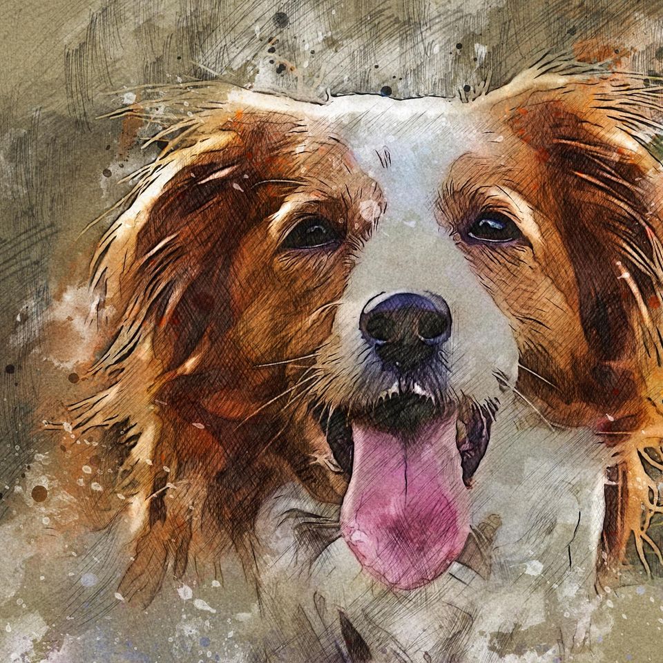 Dog ga464816fc 1920
