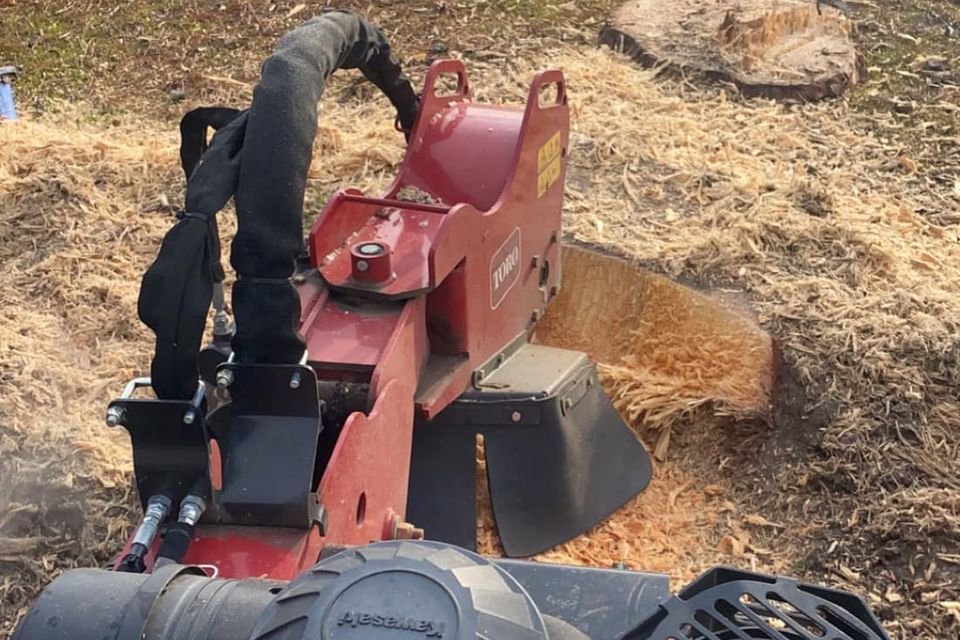 469182434 1491396628190476 1899648462895943807 n