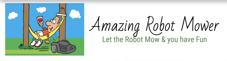 Amazong robot mower let the robot mow and you have fun moebot logo.jpg