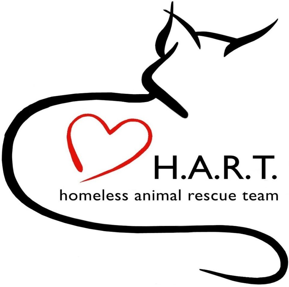 Hart logo best