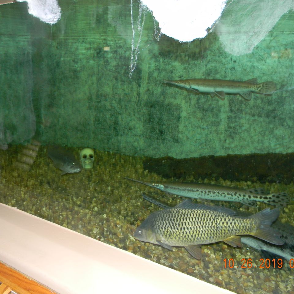 Dscn6427