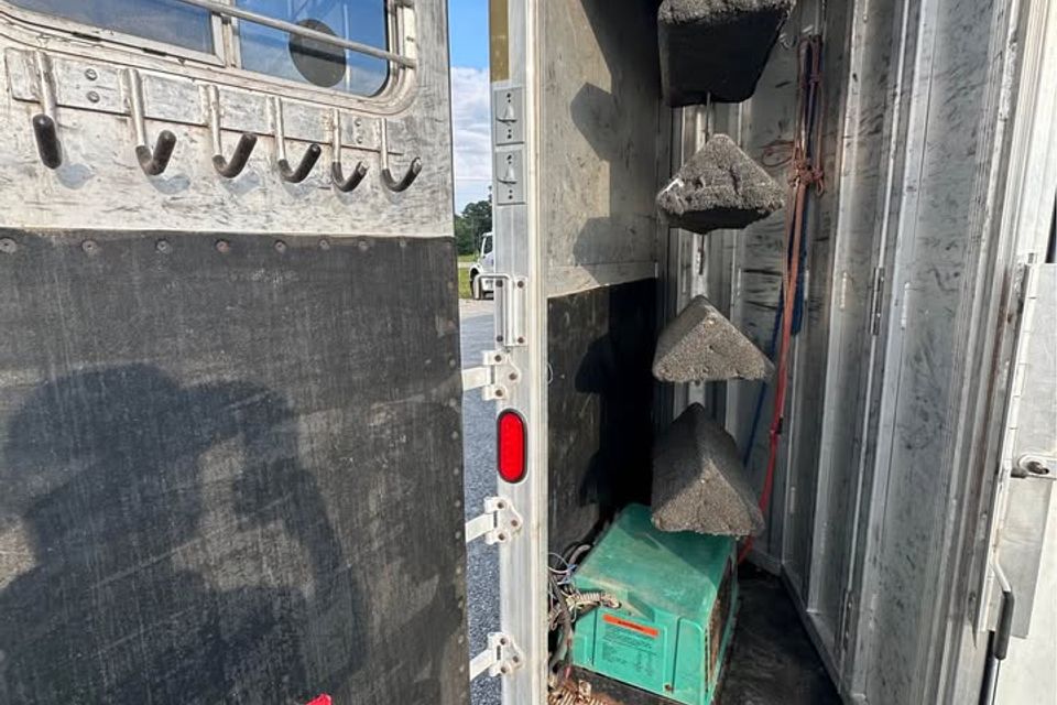 589944733 25926931936909377 7358446385844785744 n