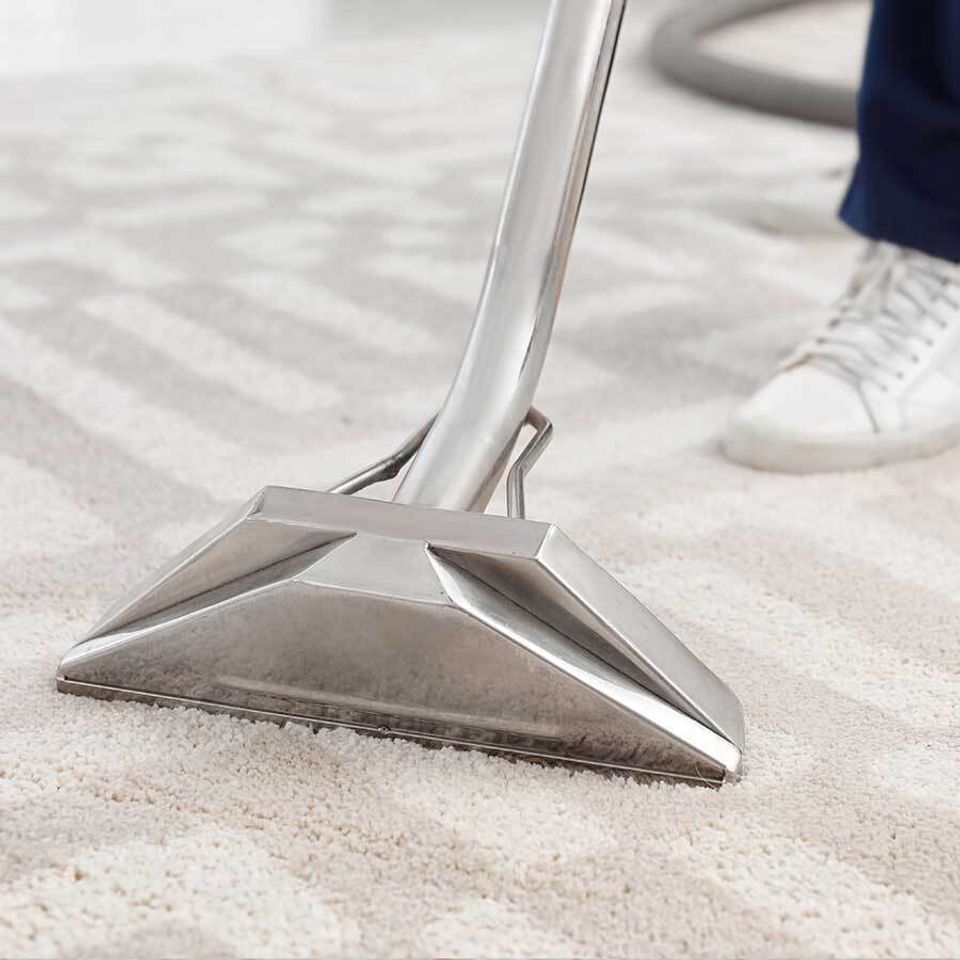 Iconcarpetcleaning1