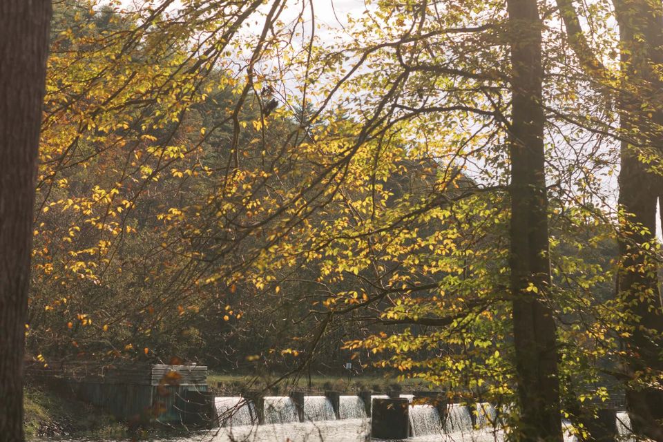 Buffalomountaincounseling 251021 0152