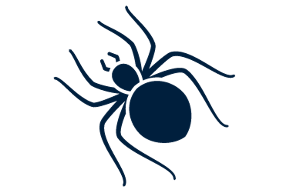 Service icons spiders