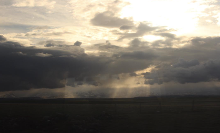 Train blog 5