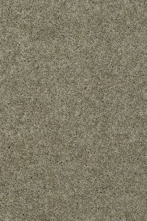 Loyal beauty i   smooth slate  4.39