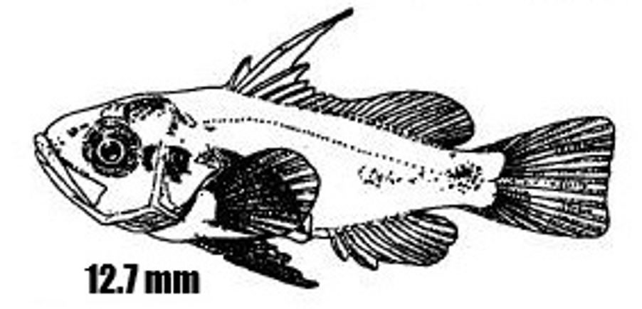 Screenshot 2025 10 15 141209