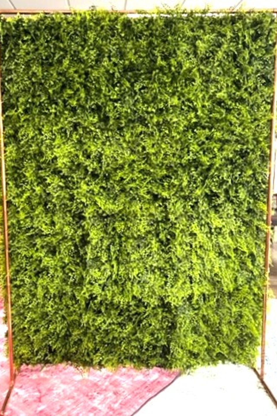 Fern backdrop