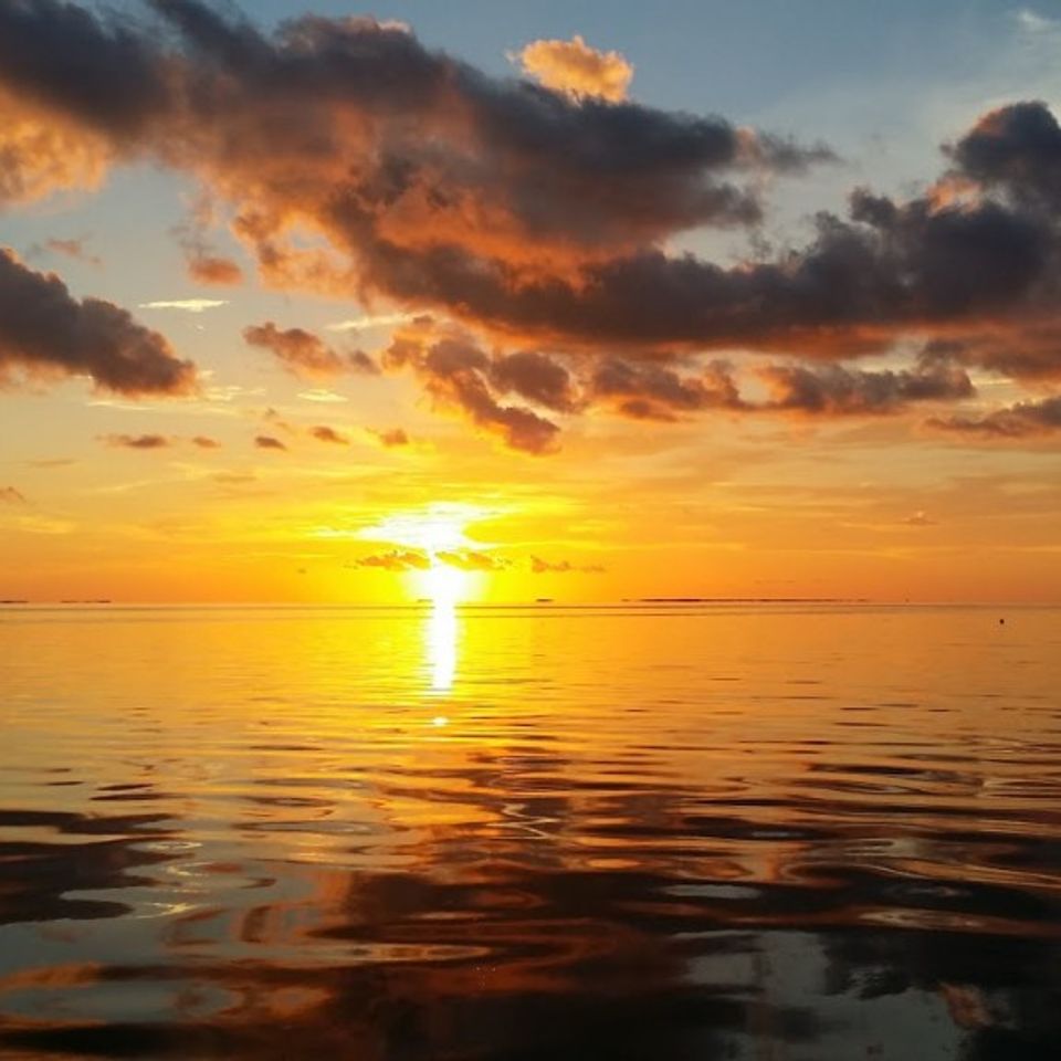 Charleston sunset tour 11