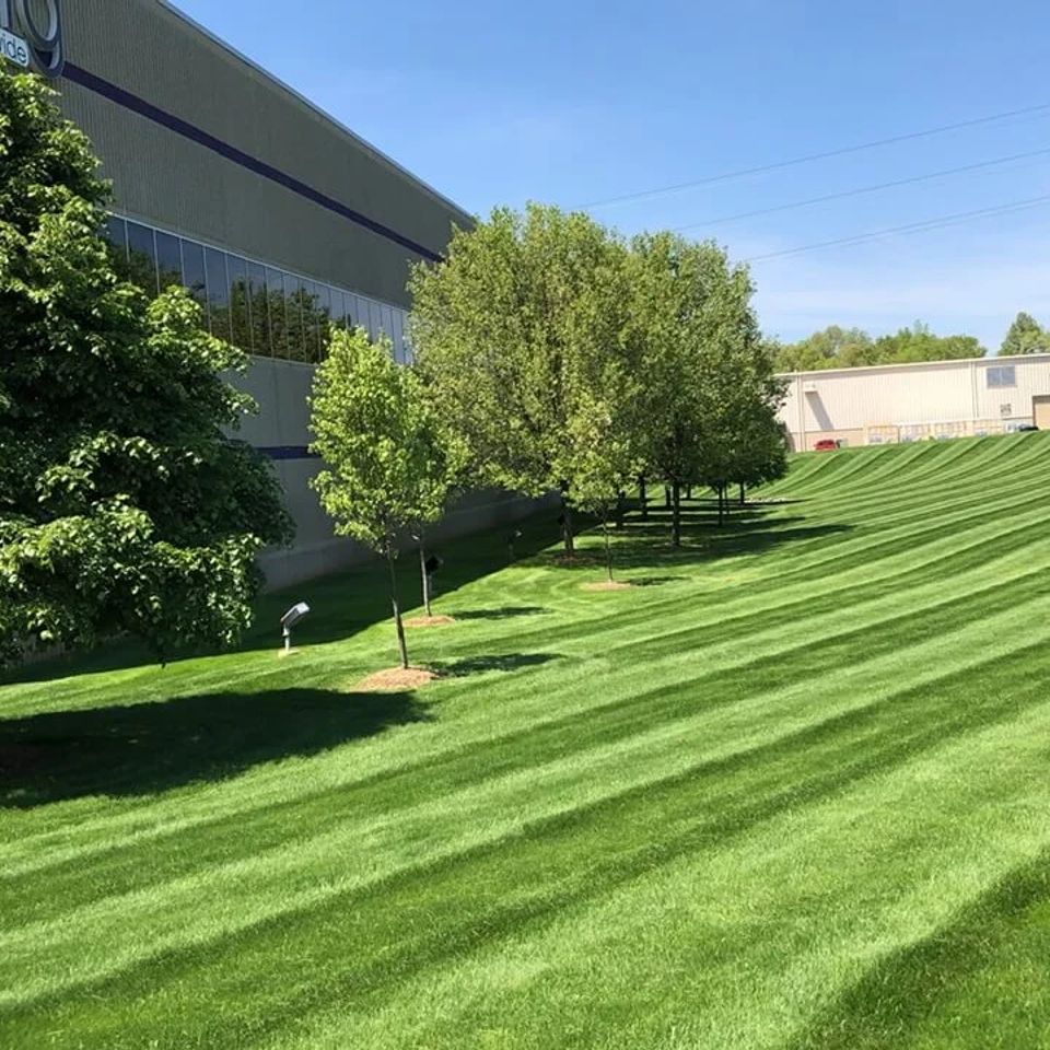 Img 0684 (1).jpg original