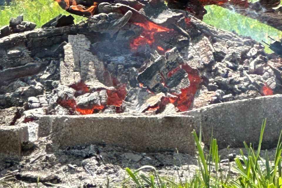 Img 3961
