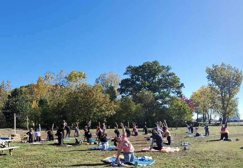 Yoga in the park