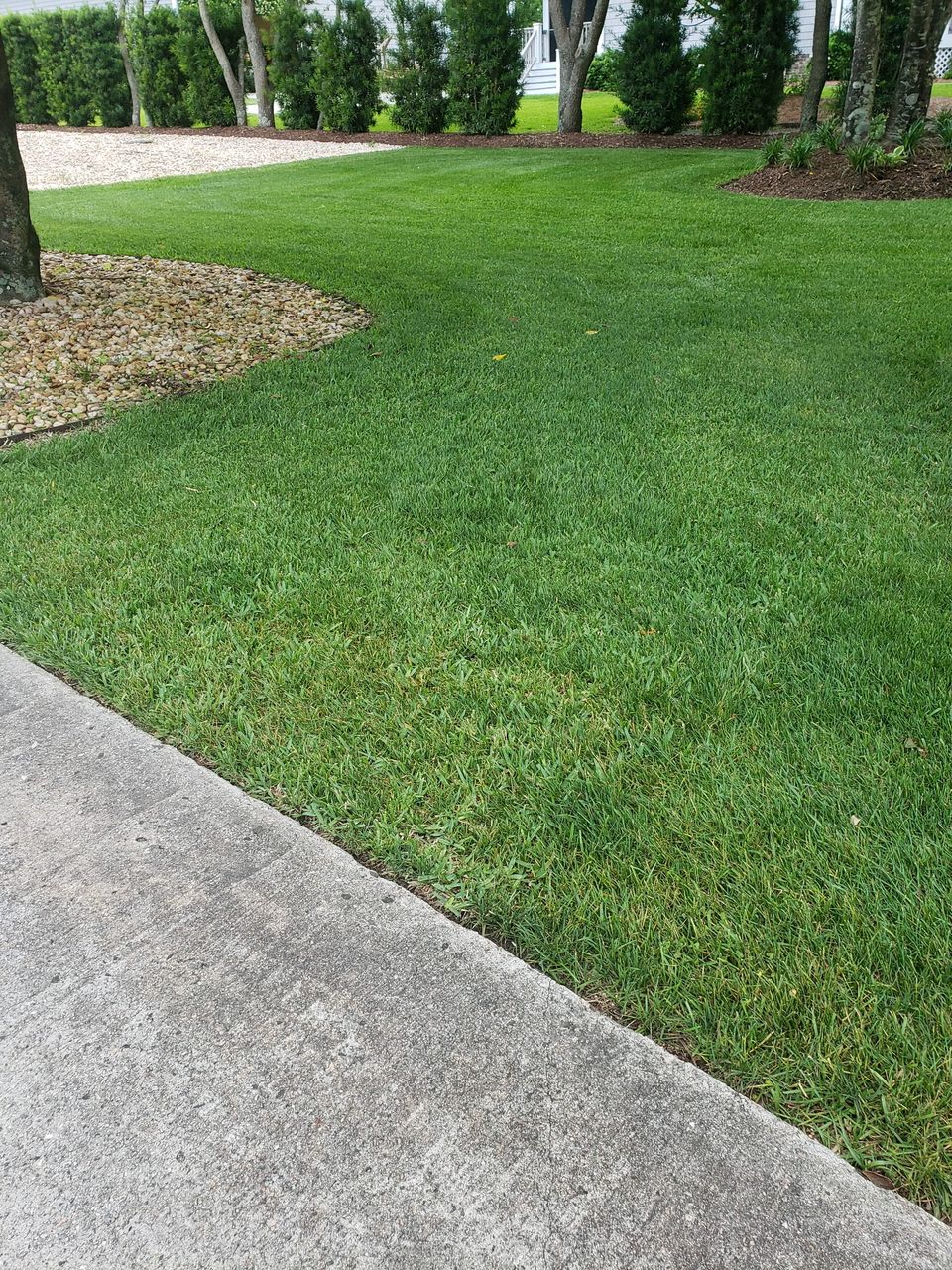 Beautifully manicured residential lawn near the Wilmington coast.