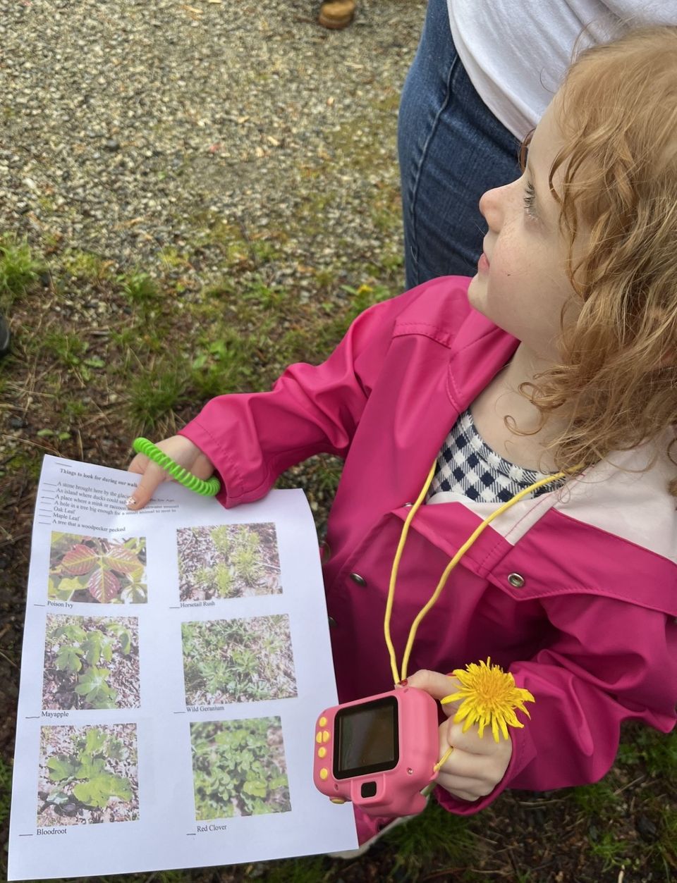 Free nature walk