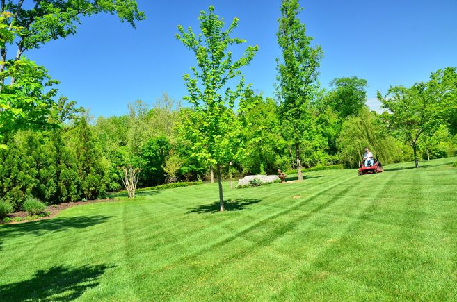 Lawn care g644995d16 1920