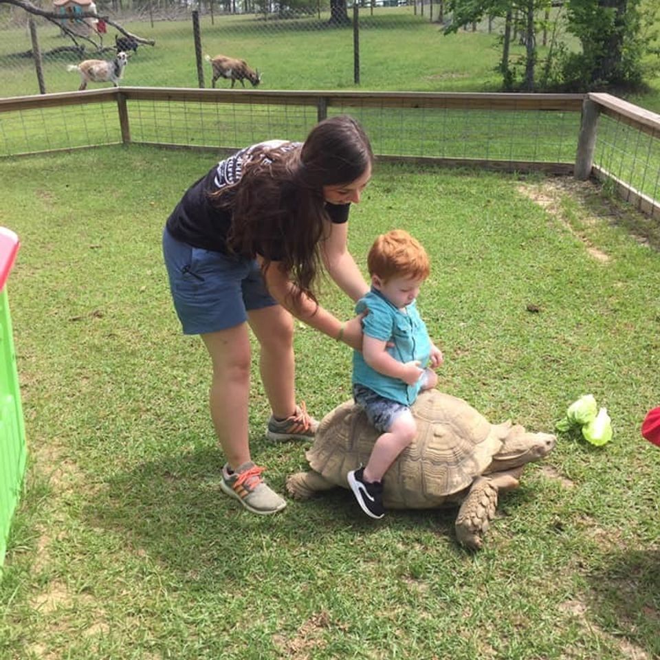 Riding a tortise at orange hill gator farm in panama beach