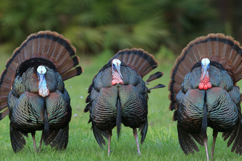 Screenshot 2026 02 23 at 11.03.46 am