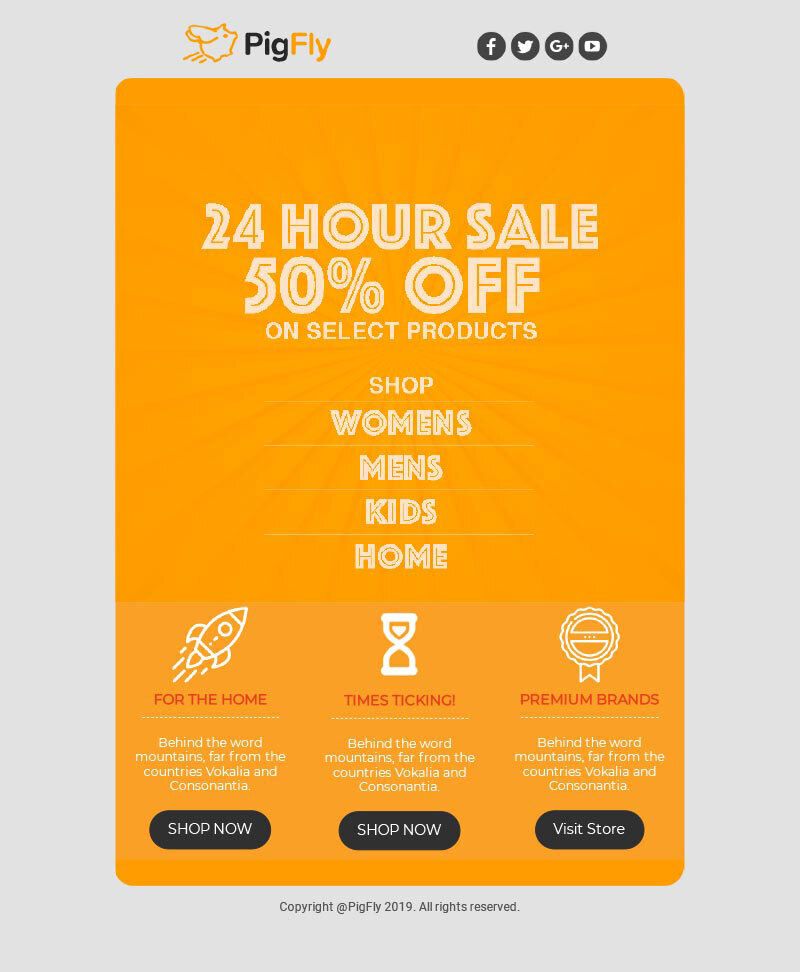 Email layouts template 16 example