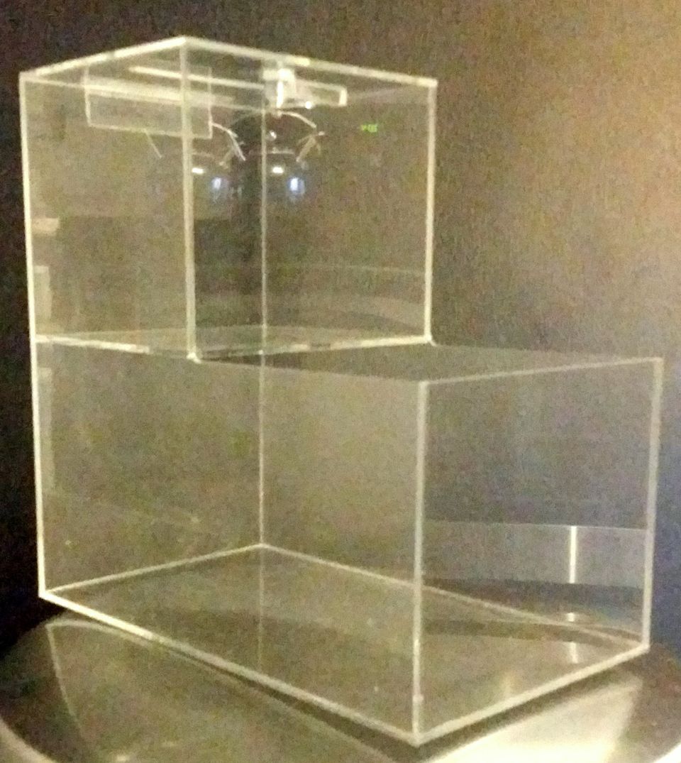 Acrylic honor vending boxes can be filled with candy