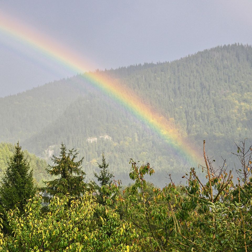 Rainbow g2ffcab8c5 1920