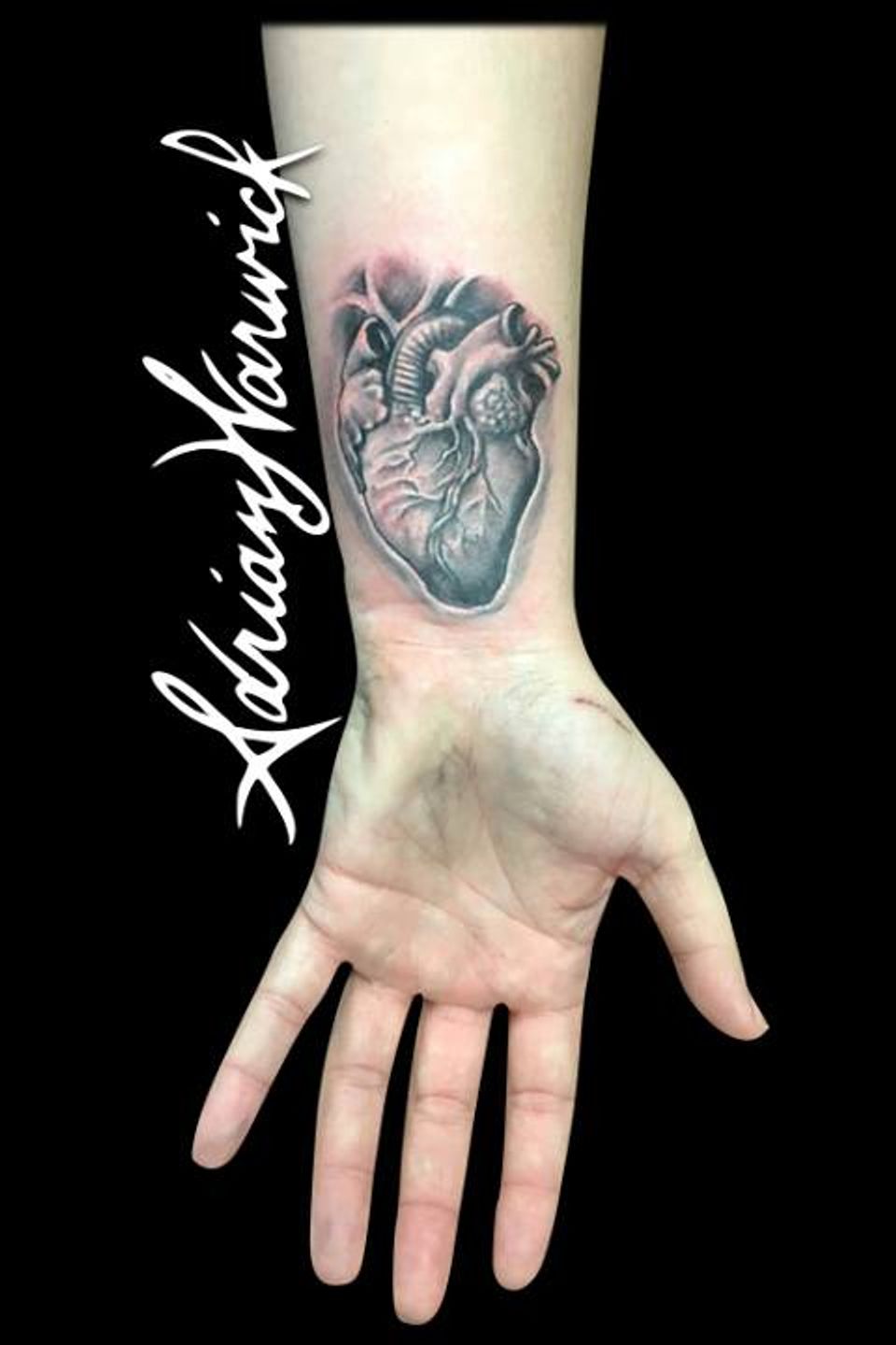 13912799 1083661908391832 3013153812960009721 n