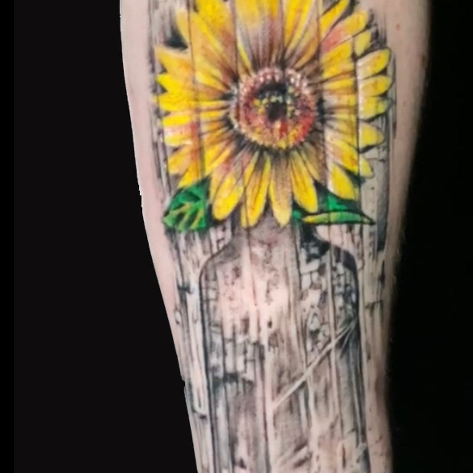 Adrian sunflower