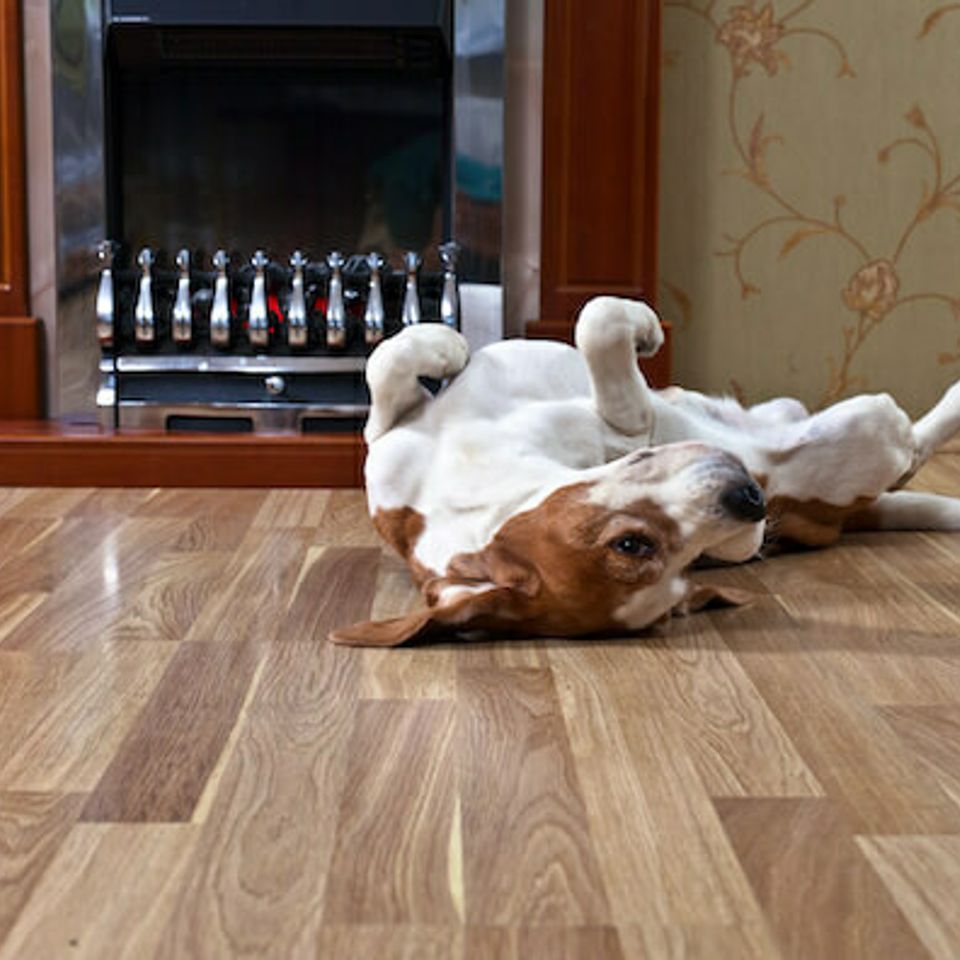 Jr's flooring laminate (1)