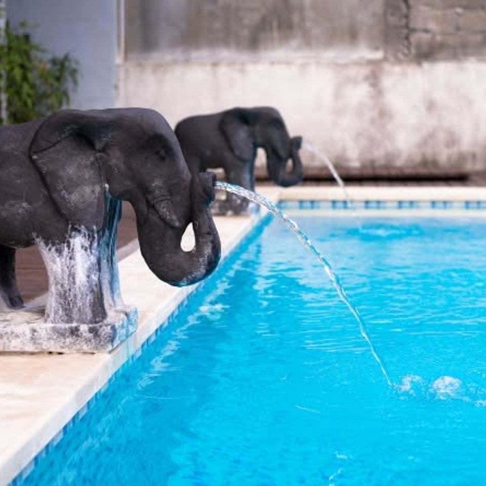 Elephant fountains