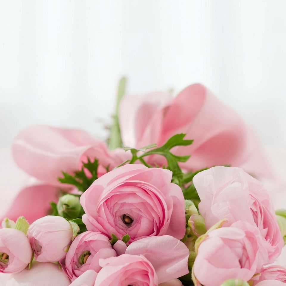 Roses 57e4d74b4d 1920