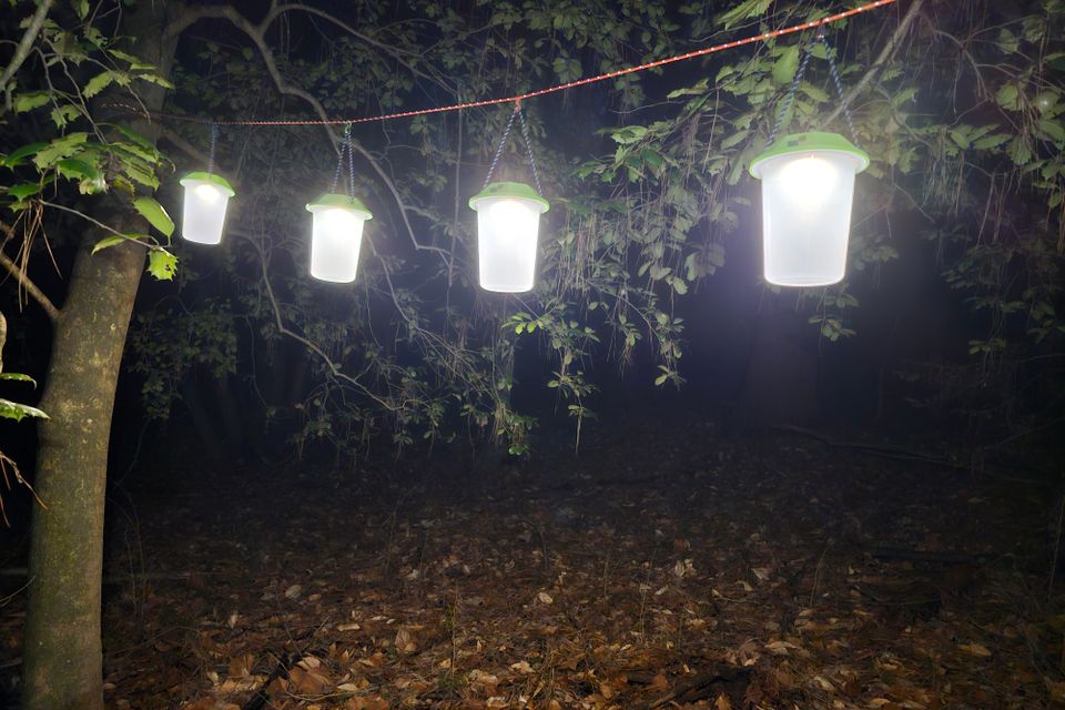 Multiple laterns