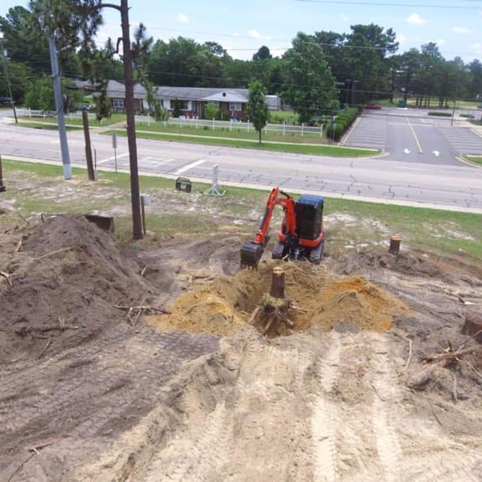 82062451 565087674154714 3136621745850856488 n