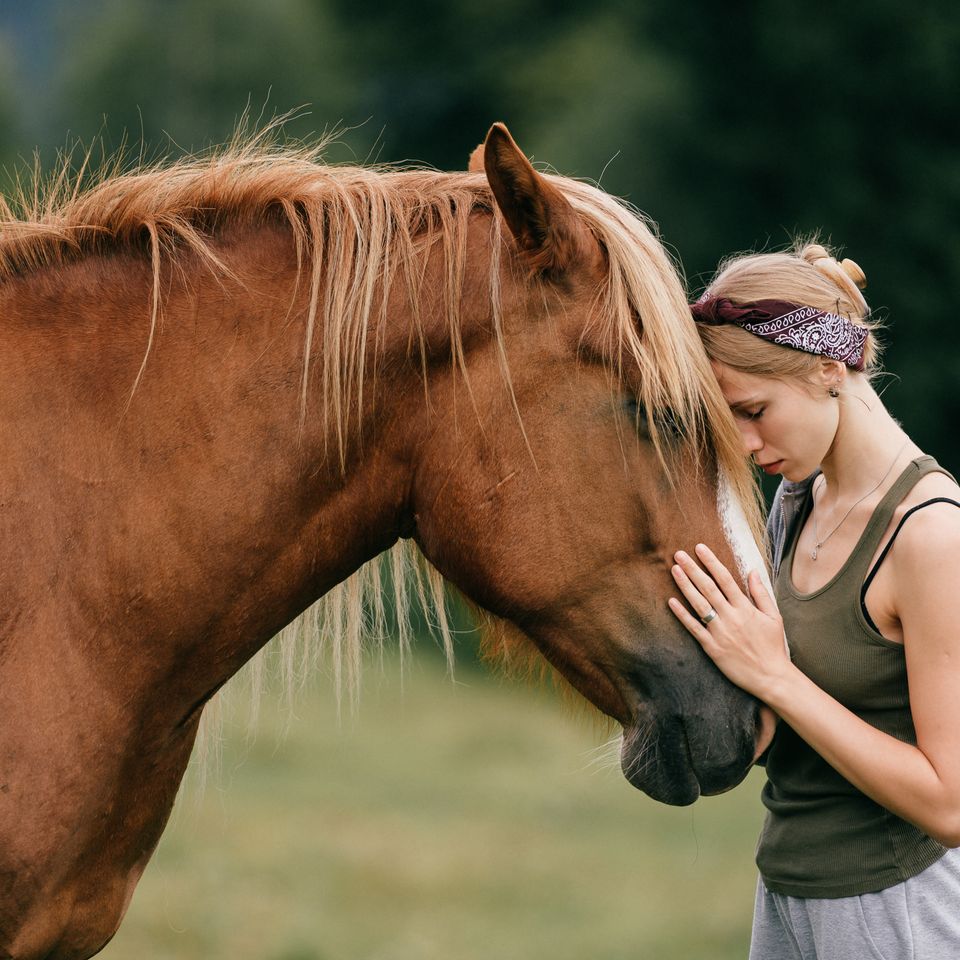 Adobestock 273060357