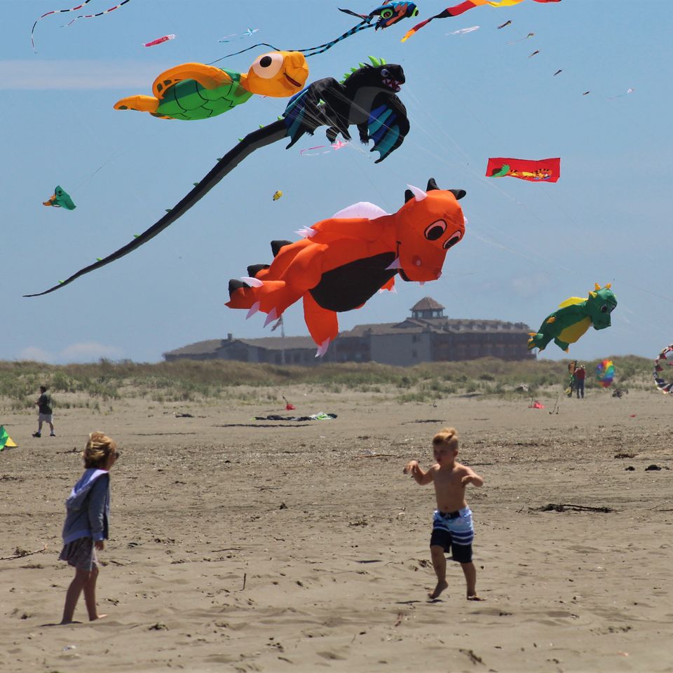 Ocean shores 50 celebration photo kite festival beach 2
