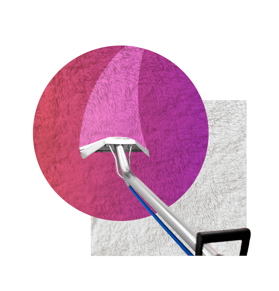 Shag carpet hero image new