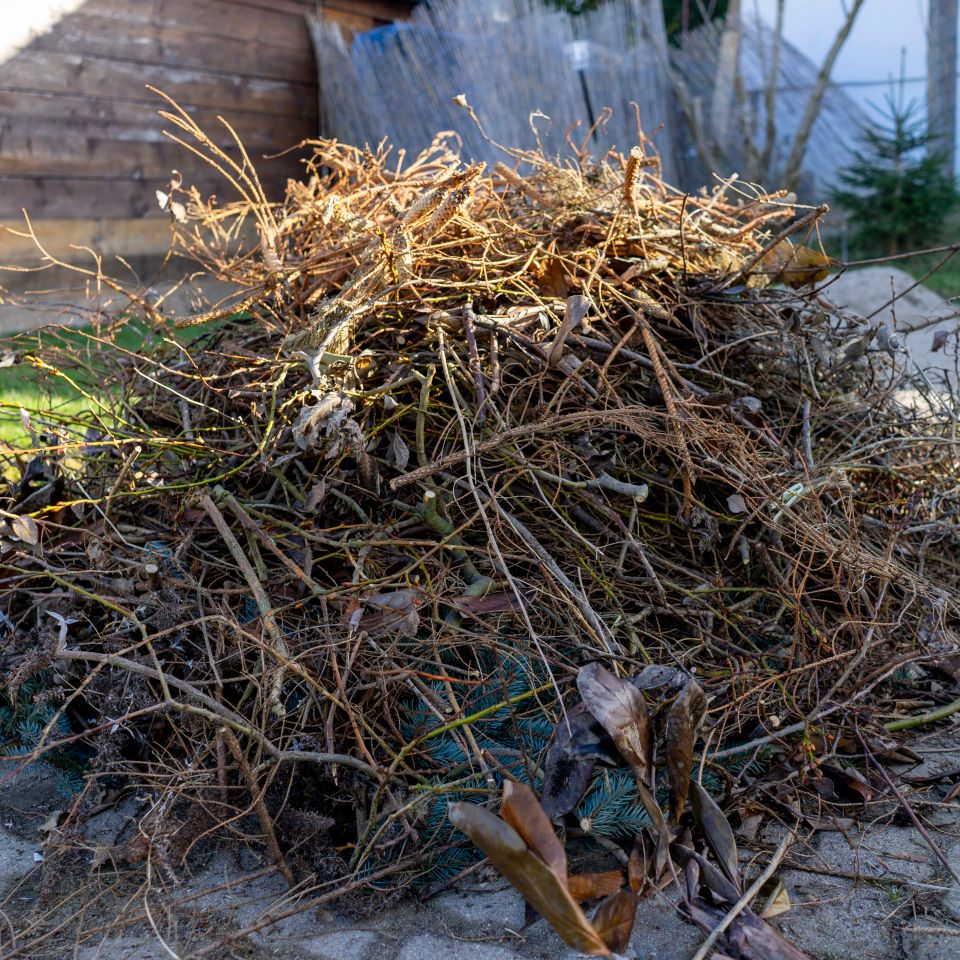 Heap of green waste in autumn
