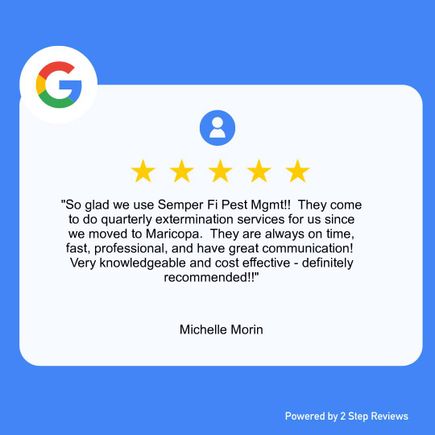 Michelle 5 star review