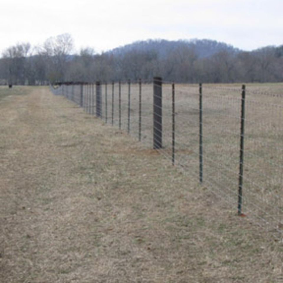 Fieldfenceonestrand6500 220150602 29141 1jagfs7