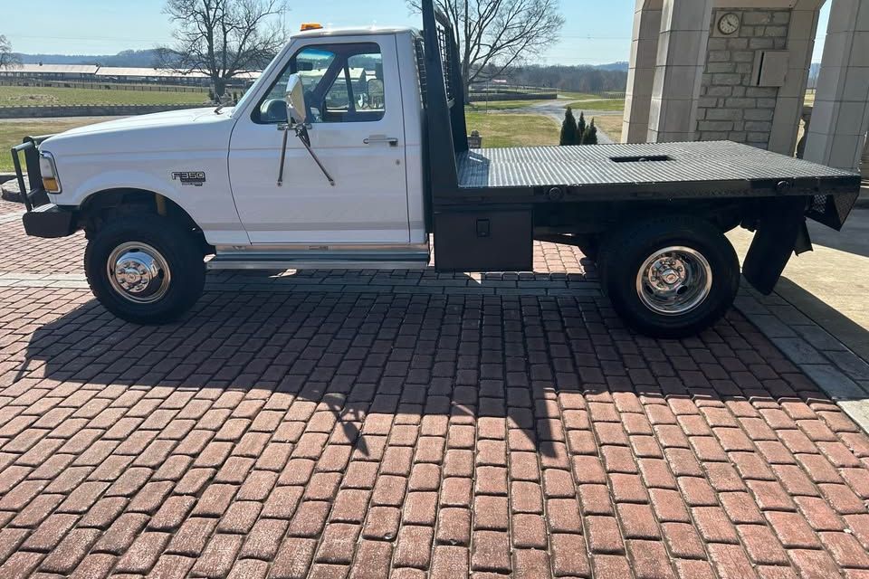 651160987 26896065403329354 3783841596923398446 n