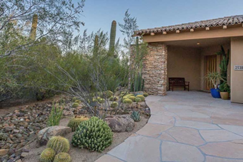 Dsr pest control tucson az blog